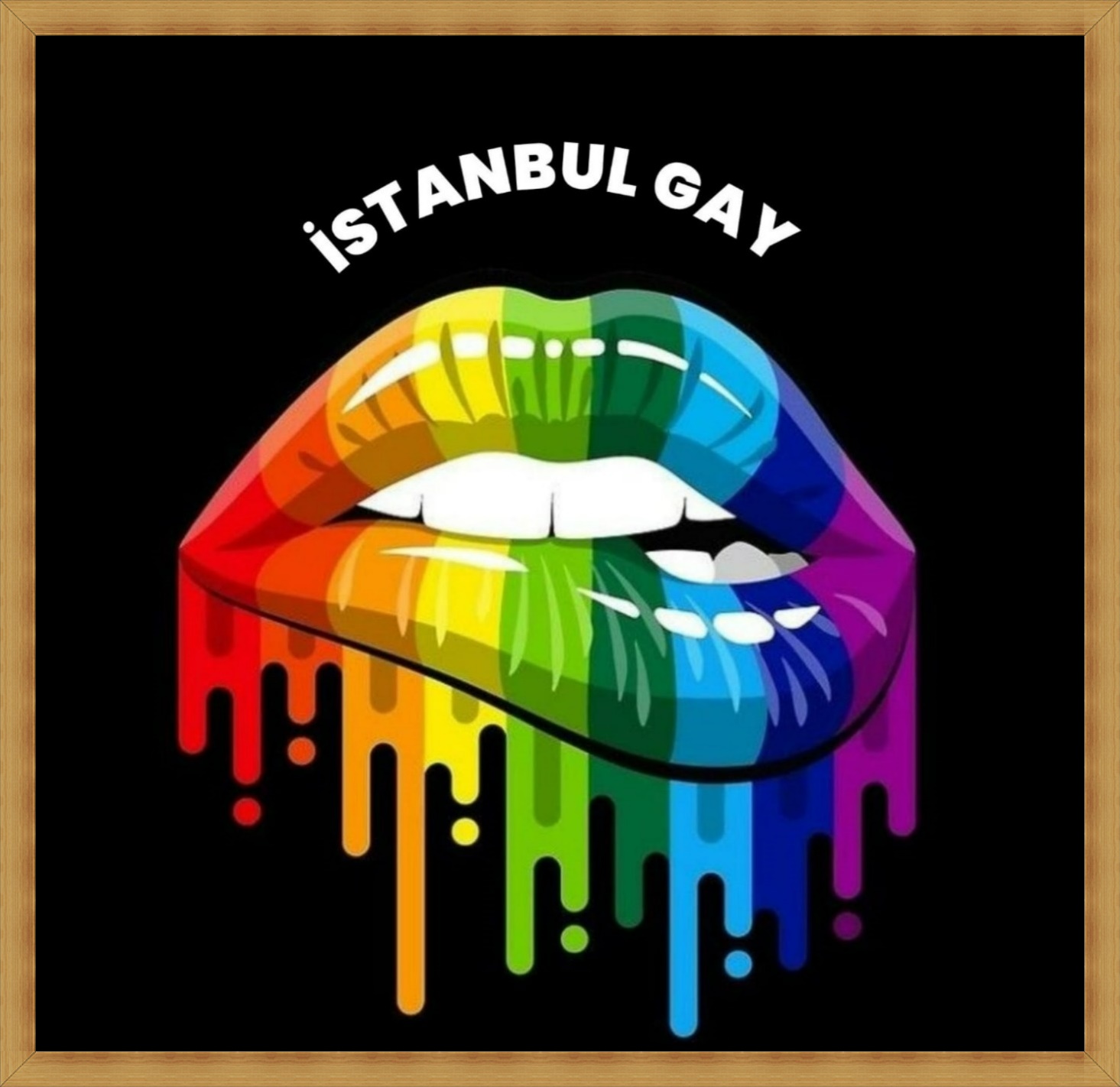 İstanbul Gay Portal